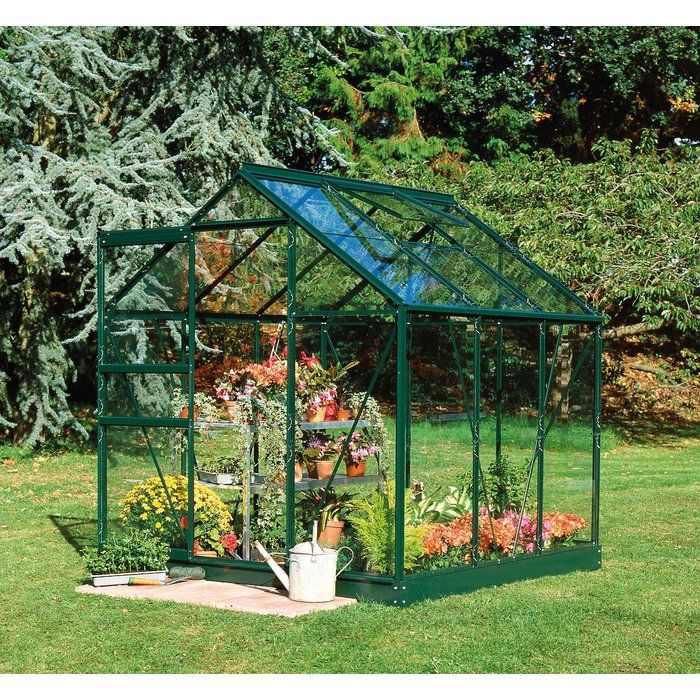 Serre Popular 66 Halls - 3,8 m² - Verre horticole - Vert