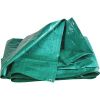 Bâche bricolage légère Capvert - 5 x 4 m