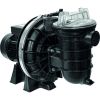 Pompe de filtration Sta-rite Pentair - 1 CV mono 16m³/h
