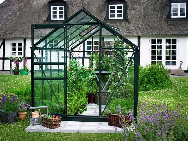 Serre de jardin en verre horticole Popular Halls 3,8 m³