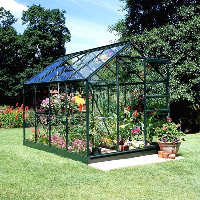 Serre de jardin en verre Horticole Popular Halls 6,2m²