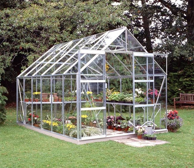 Serre de jardin en verre horticole Magnum Halls 9,9m²