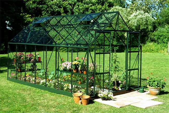 Serre de jardin en verre horticole Magnum Halls 11,5m²