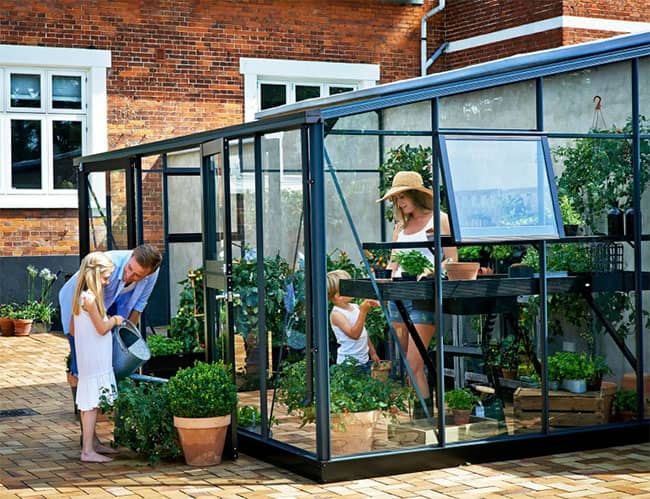 Serre de jardin en verre trempé Veranda Juliana 12,9 m² avec une structure en aluminium de couleur anthracite noir