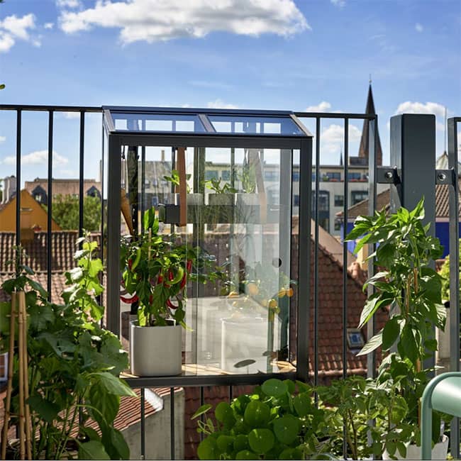 Serre de jardin en verre trempé Urban Juliana 0,16 m² noir