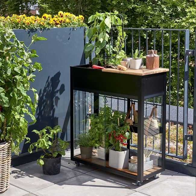 Serre de jardin en verre trempé Urban Juliana 0,25 m² noir