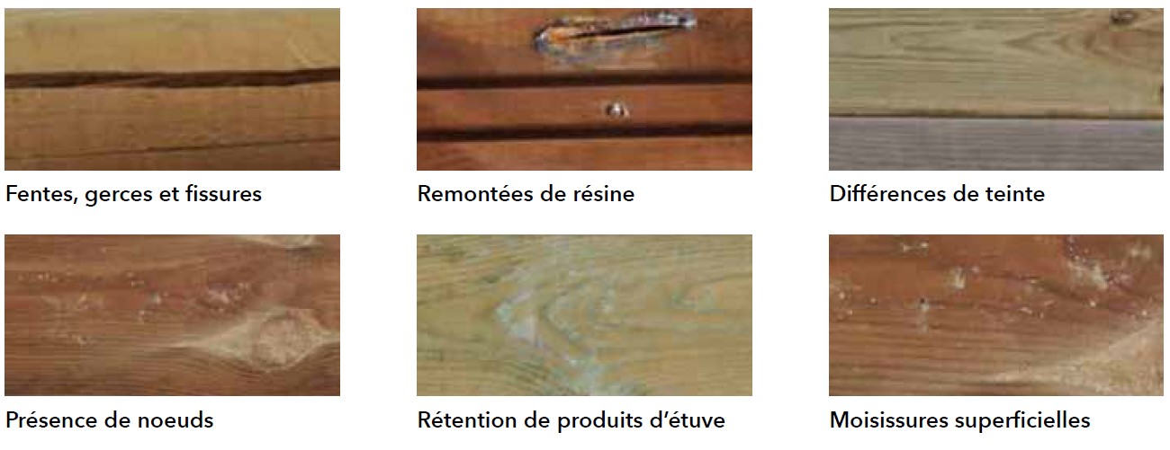 Accessoires compris avec la piscine